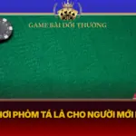 Cach Choi Phom Ta La Cho Nguoi Moi Bat Dau