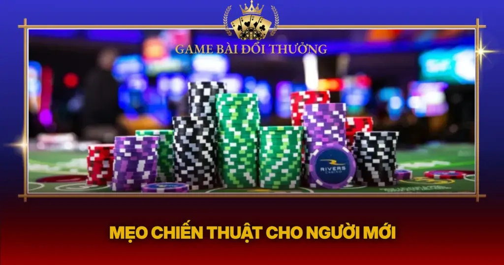 Meo Chien Thut Cho Nguoi Moi