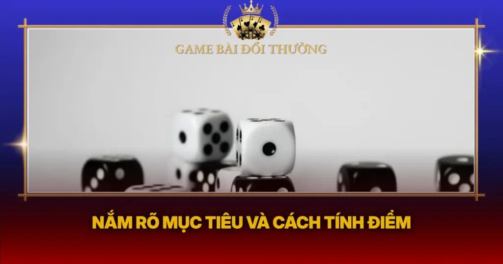 Nam Ro Muc Tieu Va Cach Tinh Diem