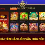 Nohu Cai Ten Gan Lien Van Hoa No Hu Viet